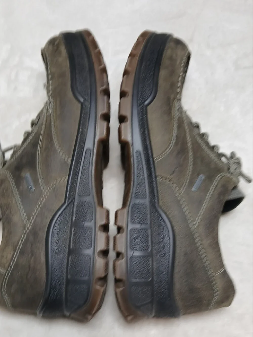 Ecco hiking gore